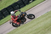 enduro-digital-images;event-digital-images;eventdigitalimages;lydden-hill;lydden-no-limits-trackday;lydden-photographs;lydden-trackday-photographs;no-limits-trackdays;peter-wileman-photography;racing-digital-images;trackday-digital-images;trackday-photos